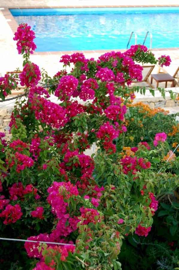Aeolos Hotel Koufonisia Exteriér fotografie